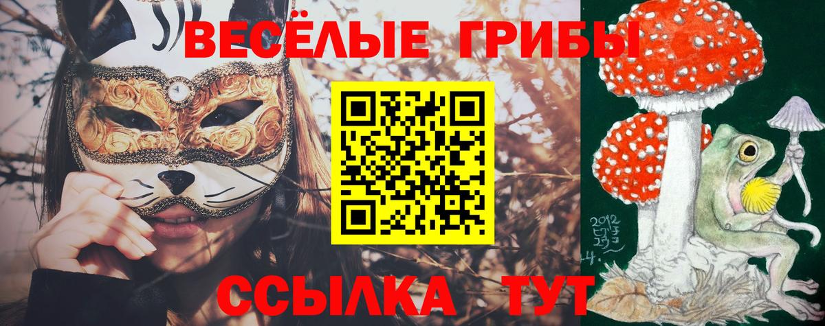 Галлюциногенные грибы мицелий  Вход с VPN  Волжский  Галлюциногенные грибы Magic Shrooms 