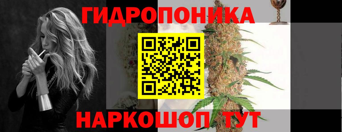 Конопля OG Kush Волжский